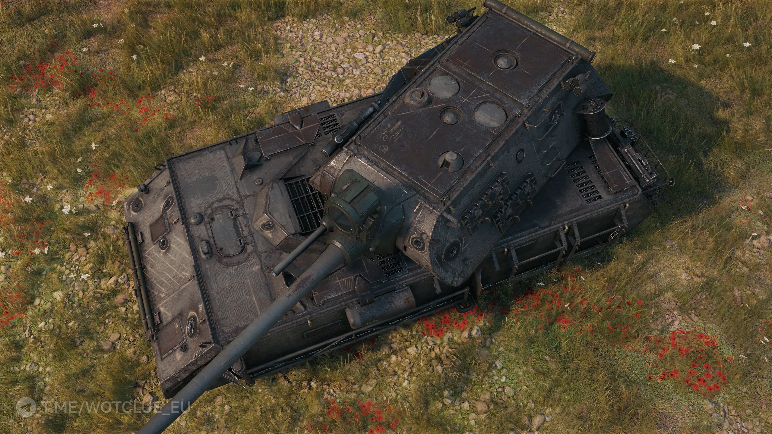 photo_2025-08-28_04-34-06