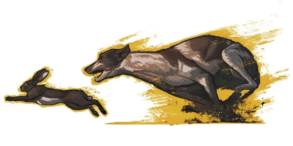 44317_partnyorskiy-52-nabor-wot-bol