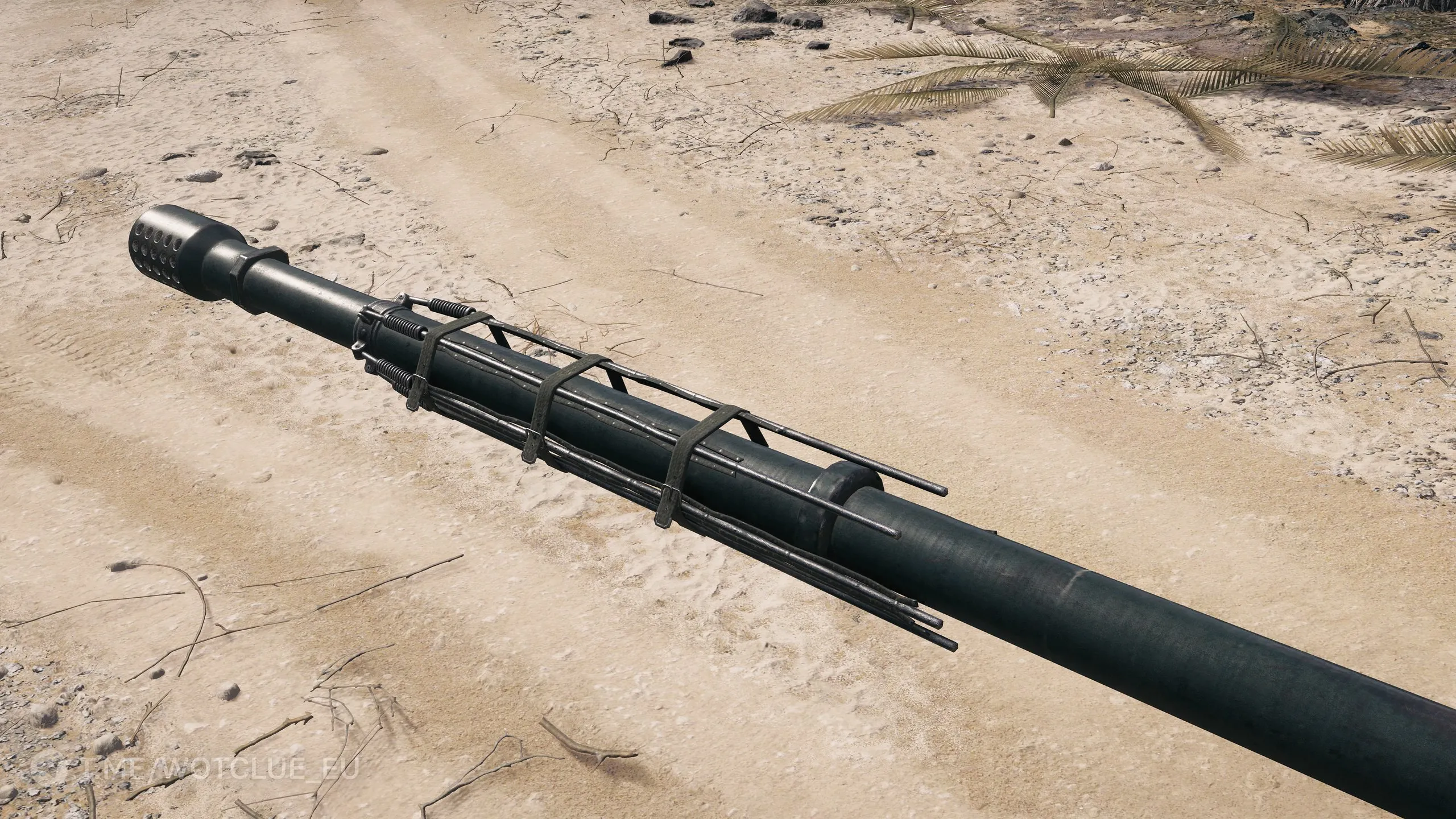 photo_2025-08-28_04-30-29