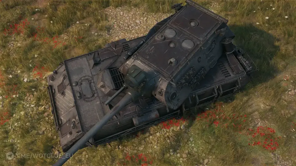 photo_2025-08-28_04-34-06