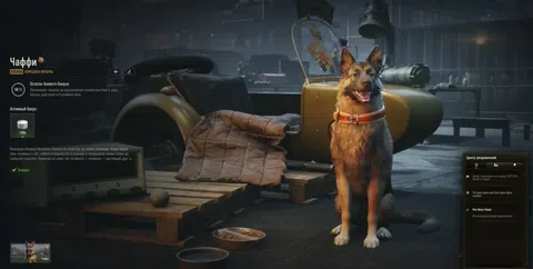 pet-gift-auto-claim-automaticke-vybirani-darku-od-mazlicka