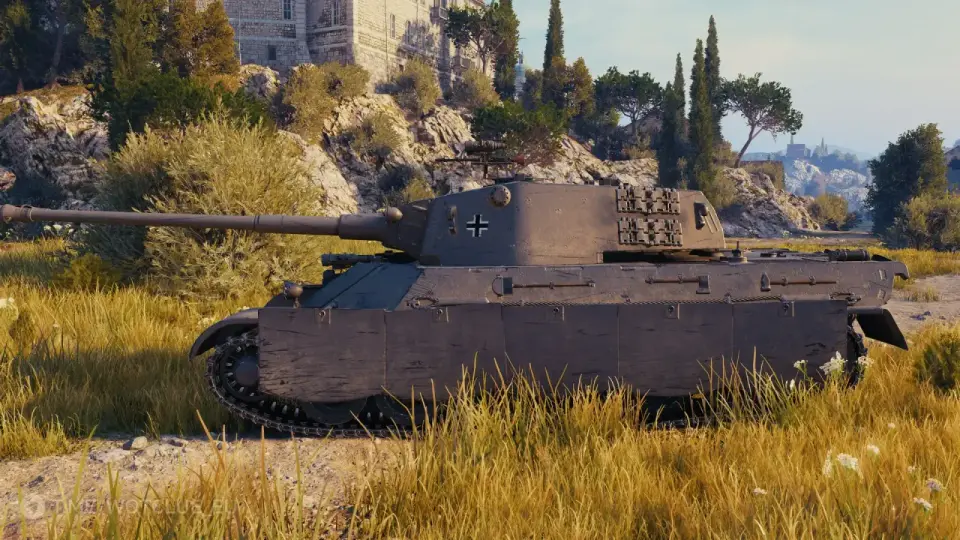 photo_2025-05-12_07-08-33-2