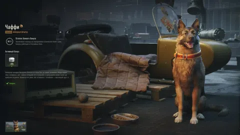 Pet Gift Auto Claim – mod pro automatické sbírání odměn